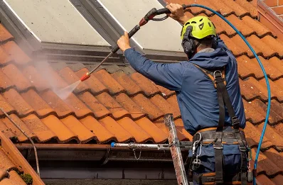 Démoussage et hydrofuge de toiture à Coullons